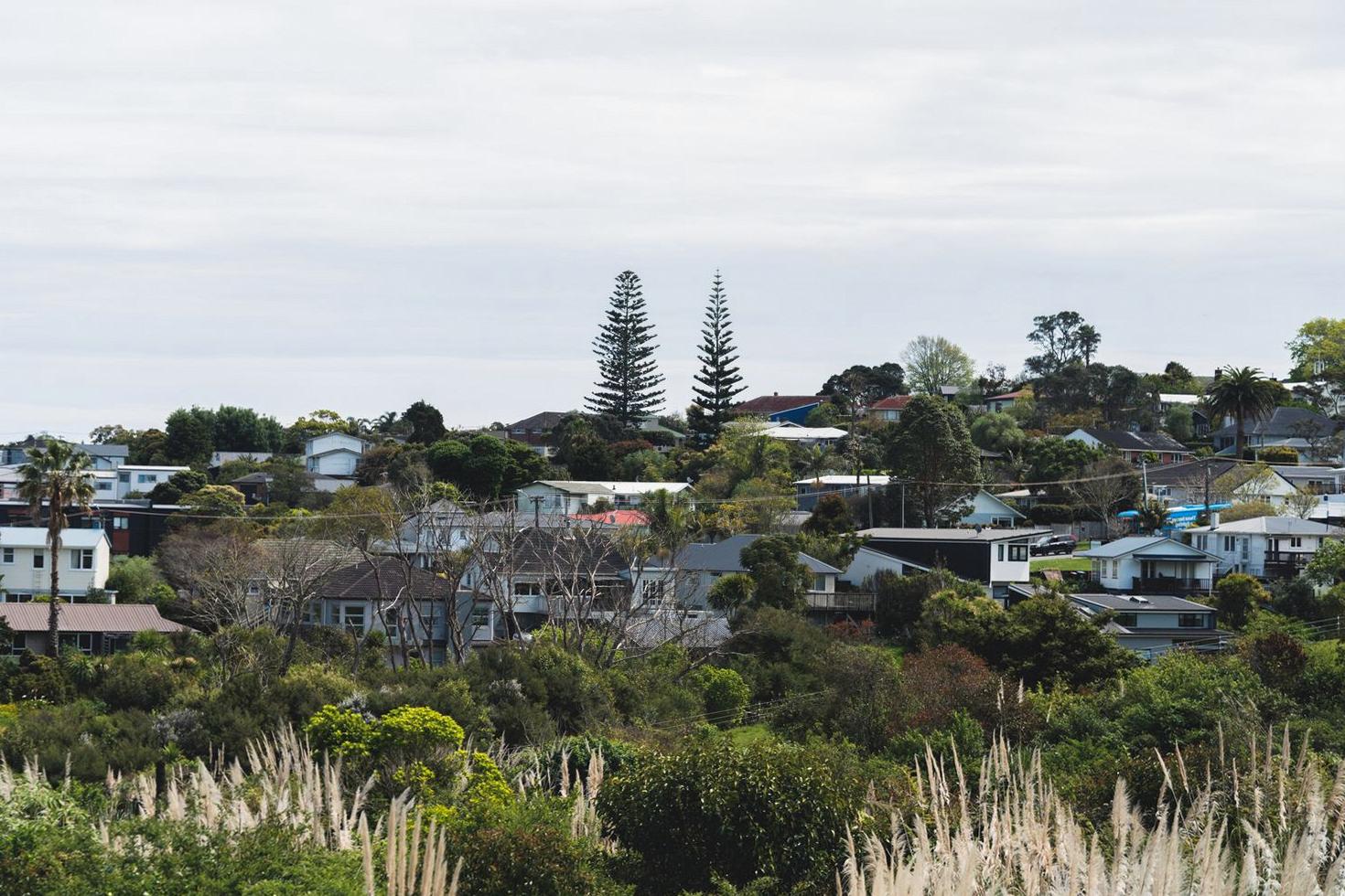 Auckland greenery