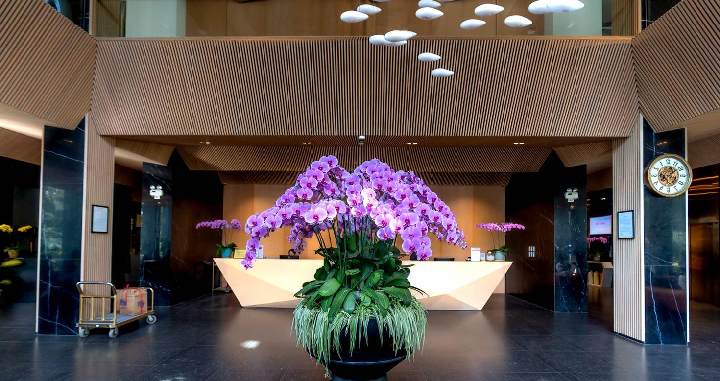 Happylivo hotel lobby detail