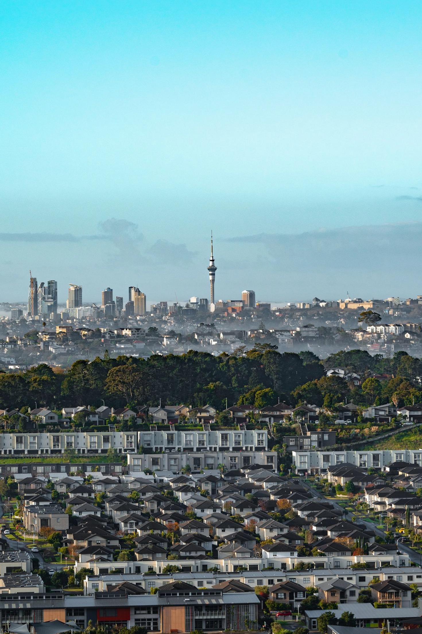 Auckland dawn skyline